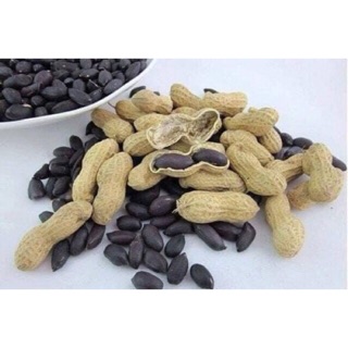 HẠT GIỐNG LẠC ĐEN KOKUMA GÓI 25 HẠT
