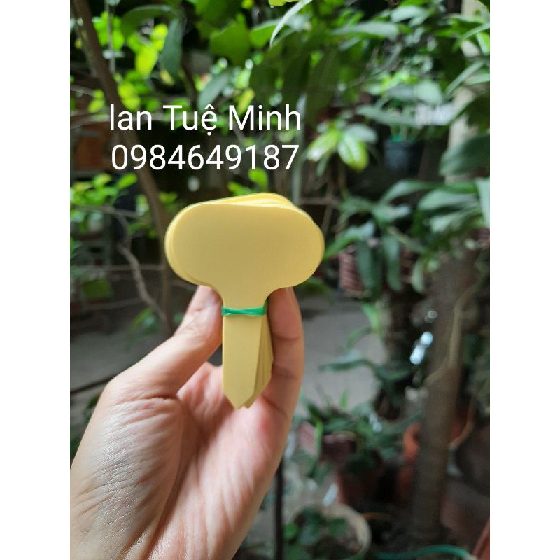 Set 100 Thẻ Cắm Nhiều Màu Ghi Tên Cây, Thẻ Ghi Tên Lan - Đánh Dấu Thông Tin Cây - Loại Nhựa Mềm