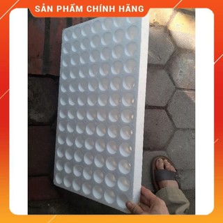 Khay xốp ươm hạt 84 lỗ