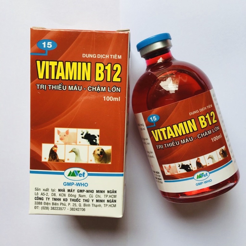 Vitamin B12 giúp giải độc chống sốc cho Lan chai 100ml