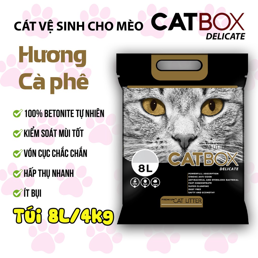 Cát vệ sinh cho mèo bổ sung than hoạt tính CATBOX túi 8L
