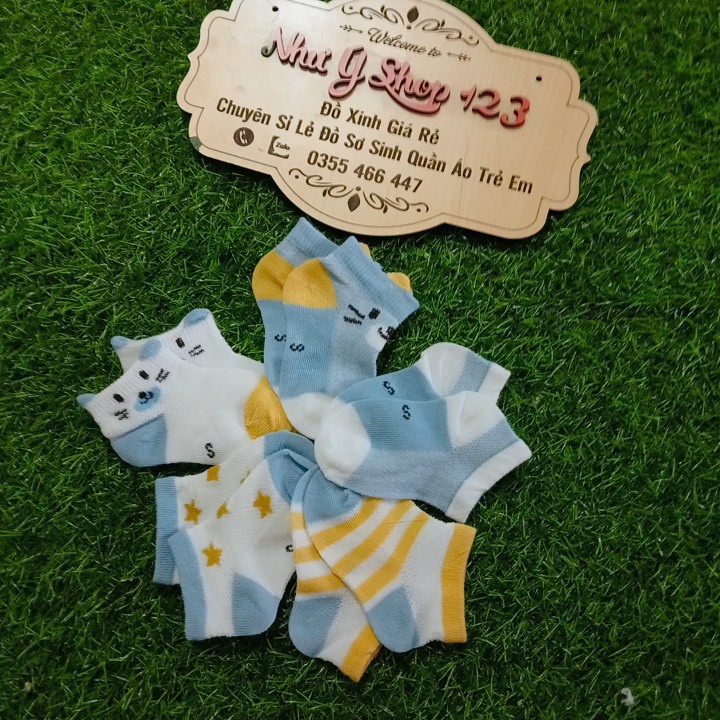 B28 - Set 5 Đôi Tất Quảng Châu Điều Hòa Cotton Cổ thấp Kid's Socks Túi Zip Mềm Mại Thoáng Khí Cho Bé Từ 0-3 Tuổi