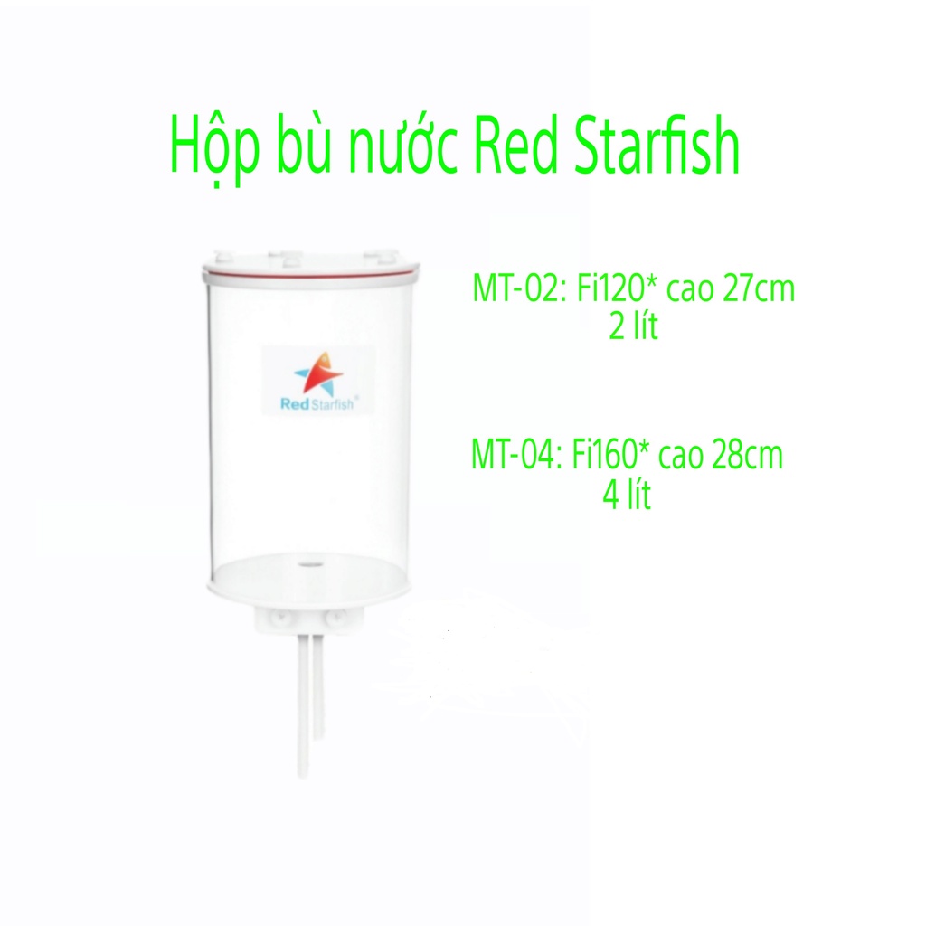 Hộp bù nước Red Starfish