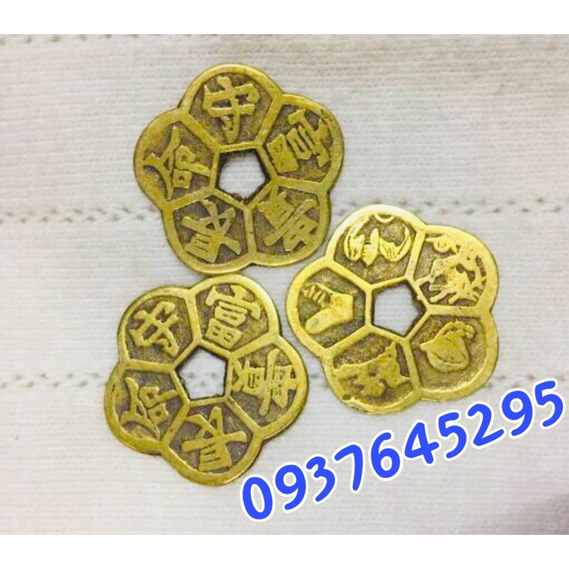 Đồng tiền hoa mai bằng đồng | BigBuy360 - bigbuy360.vn