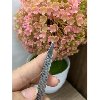 1 lốc Dũa móng tay inox(10 cái ) bền đẹp