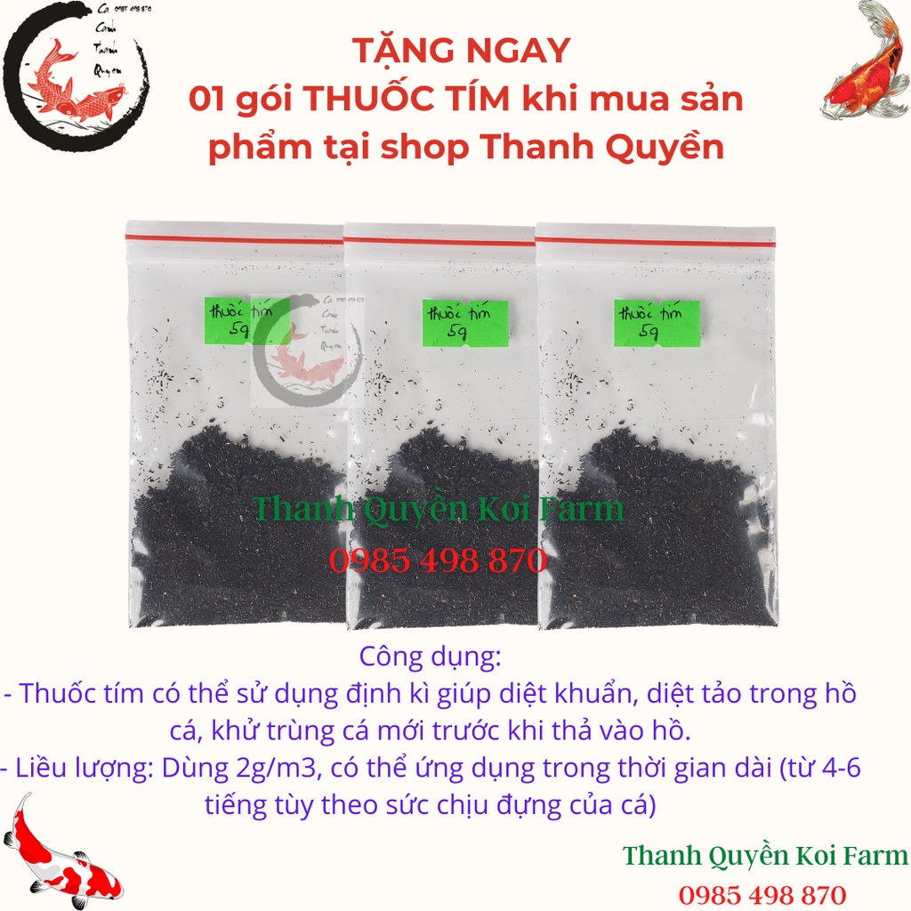 Chổi lọc hồ cá Koi kích thước 40cm, 60cm, 80cm