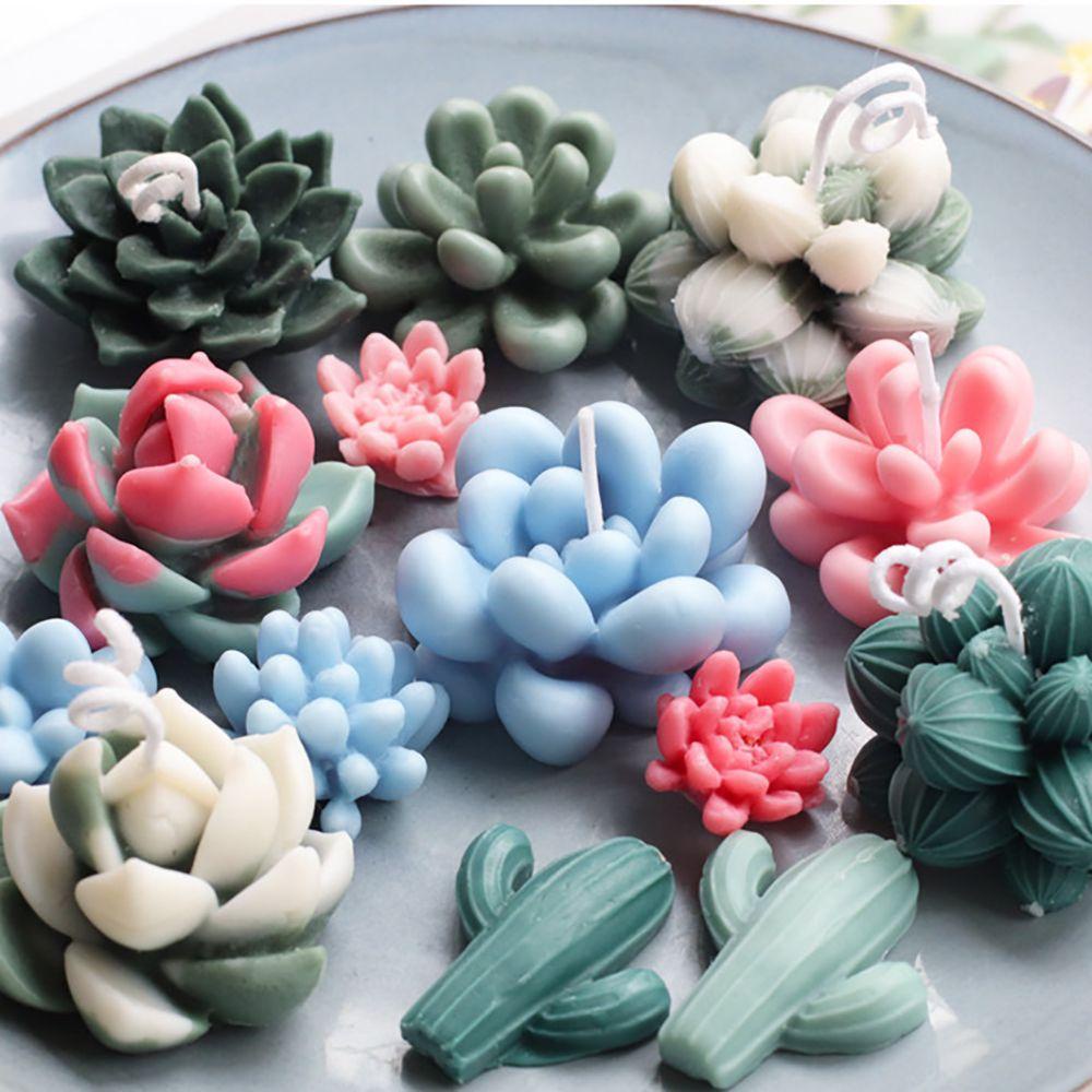 Khuôn Silicon Làm Đồ Thủ Công DIY Hình Cây Mọng Nước Nhiều Kiểu Sáng Tạo