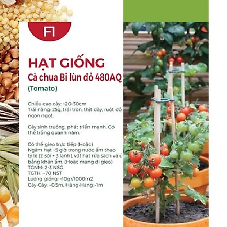 Combo 10 loại hạt giống rau củ quả quen thuộc thường dùng F1508 - AN AN SAIGON