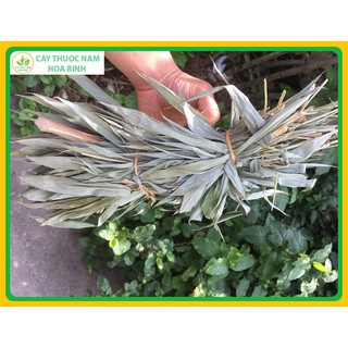 1kg lá tre phơi nắng khô (thơm, sạch)