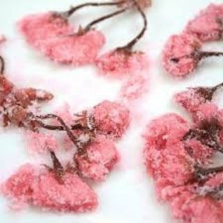 500g Trà Hoa Anh Đào Muối