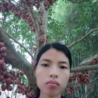 Cây dâu da đỏ