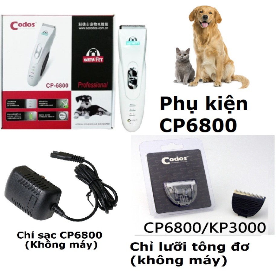 (BH 6 tháng) Bán lẻ Phụ kiện của tông đơ CP6800 Cắt Tỉa Lông Cho Chó Mèo thú cưng