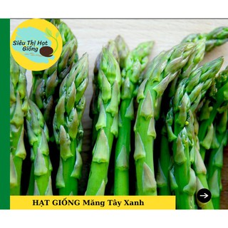 [Seeds] Hạt Giống Măng Tây Xanh F1