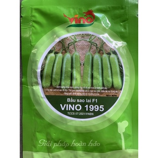 Hạt giống bầu sao lai f1 vino 1995