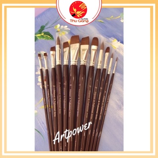 Bộ cọ vẽ màu acrylic, sơn dầu art power 12 cây nhiều đầu