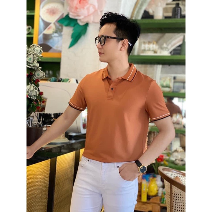 Áo Thun Nam, Áo Polo Nam Có Cổ Vải Cá Sấu Côtton Cao Cấp.Chất Lượng  , mẫu mới 2021 | BigBuy360 - bigbuy360.vn