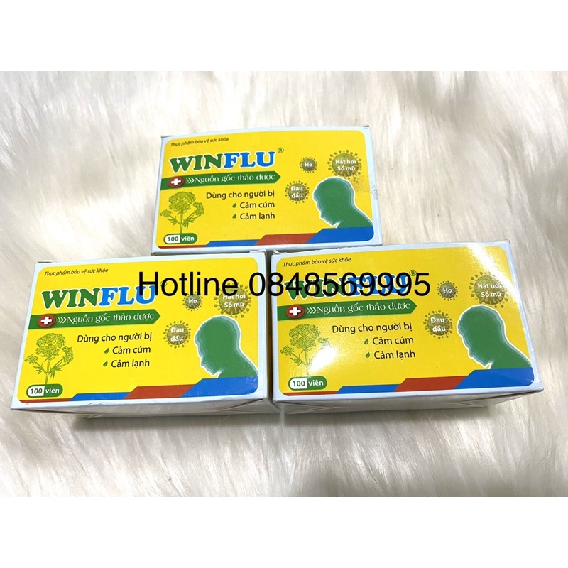 Giảm cảm cúm WINFLU hộp 100v nang - Giảm cảm cúm, ho, đau đầu - Nguồn gốc hoàn toàn từ thảo dược