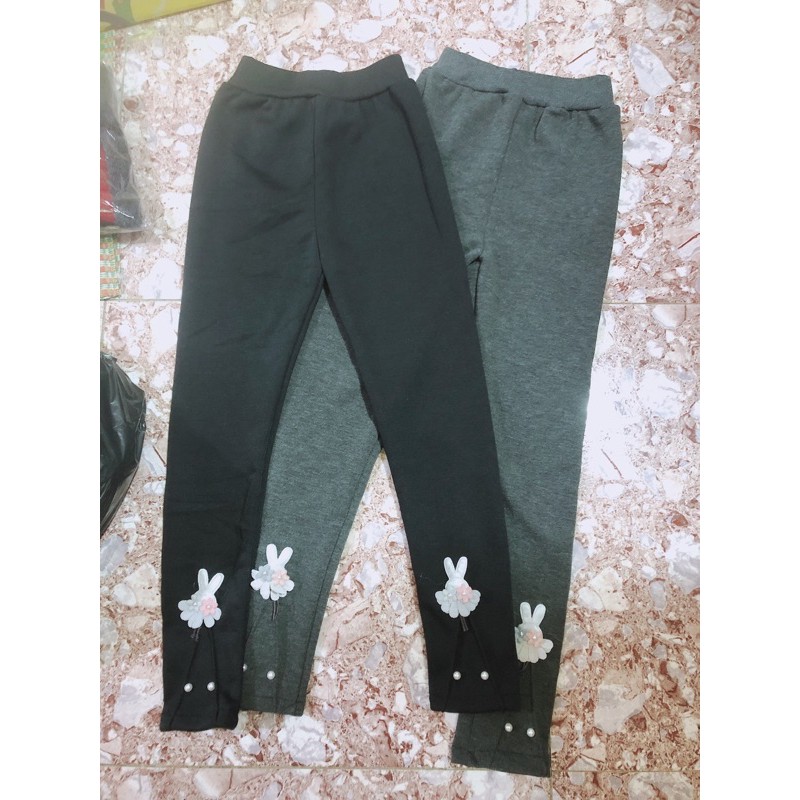 combo 5 quần nỉ