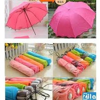 [Giá Buôn] Ổ NỞ HOA KHI GẶP NƯỚC.