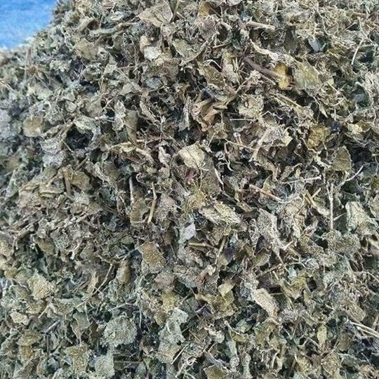 100 gram chè Dây Cao Bằng loại tuyển chọn,đã lọc bỏ cọng.