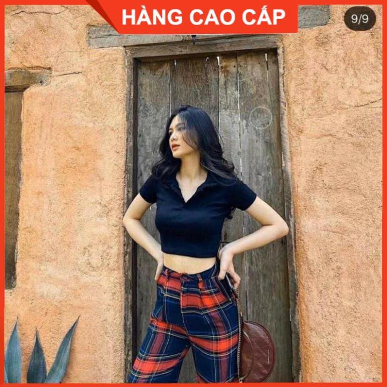 Áo Croptop Cổ Trụ PLO Tay Ngắn Dáng Ôm Ulzzang, Áo Croptop Có Cổ - [HÀNG CAO CẤP] | BigBuy360 - bigbuy360.vn