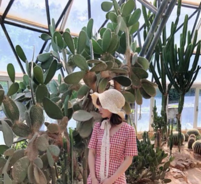 ❤️ Đầm caro cột eo cổ V đính hàng nút ❤️ | BigBuy360 - bigbuy360.vn