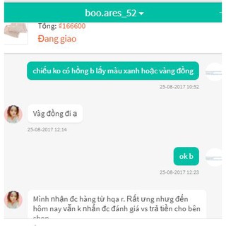 Chiếu lụa 1m8 x 2m (kèm 2 vỏ gối)