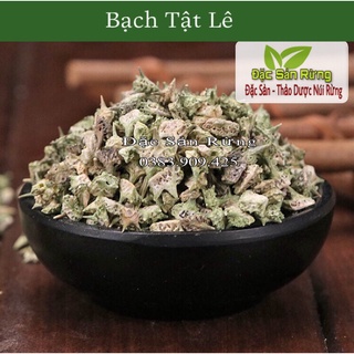Bạch tật lê , - đặc sản rừng