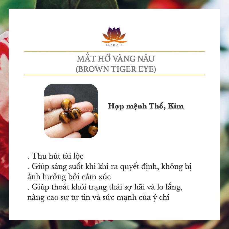 18x13MM Lu Thống Chatoyant Nâu, Hợp Mệnh Thổ, Kim, Phối Vòng Tay Phong Thuỷ, Mặt Dây Chuyền S50 - Bead Art