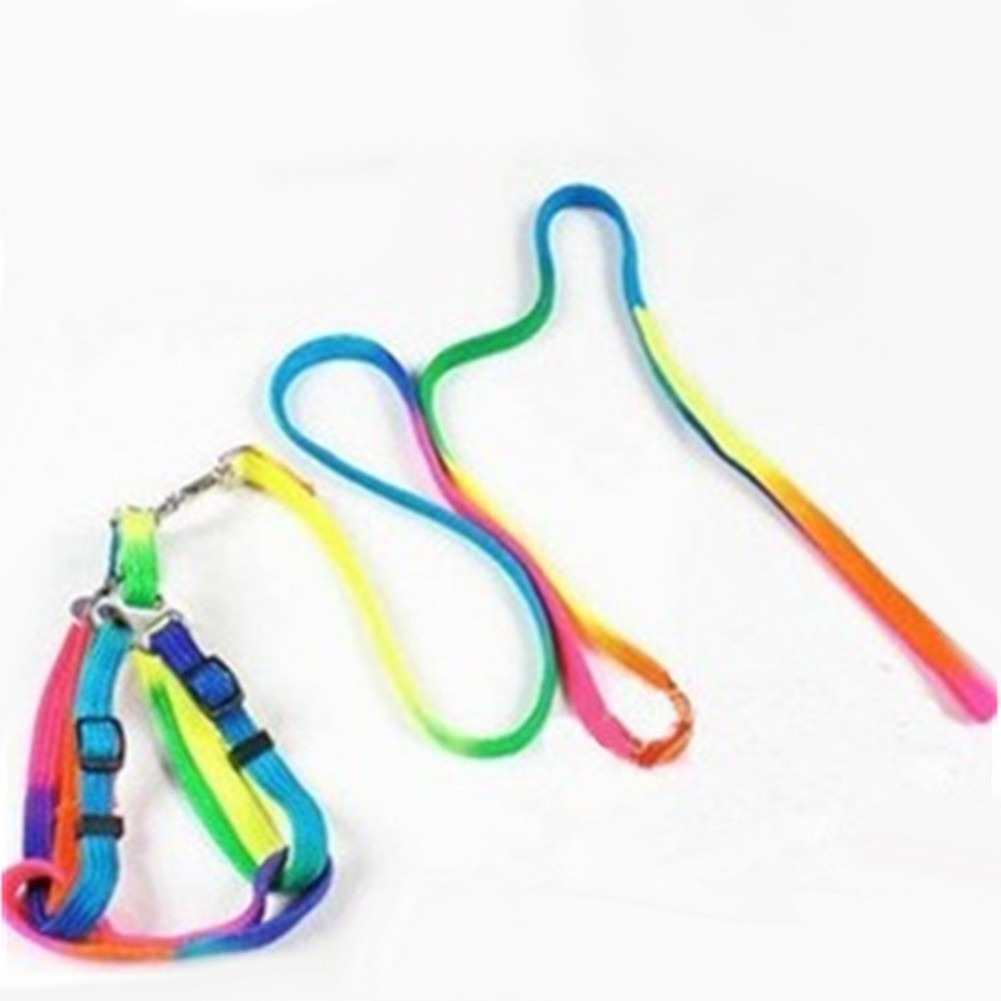 Dây Yên Cương Dùng Cho Thú Cưng