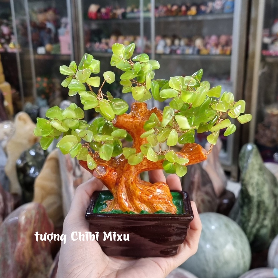 Cây Tài Lộc đá mắt mèo xanh lá nhạt - cho người mệnh Mộc và Hỏa