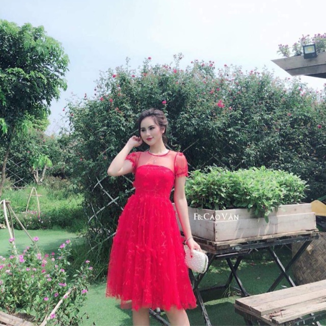 Đầm xoè ren đính hoa nổi