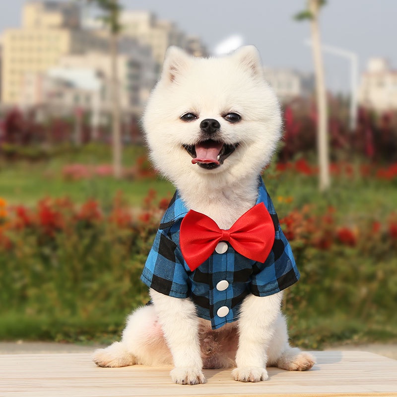 Áo Cho Thú Cưng Cỡ Nhỏ / Trung BìNh / VừA