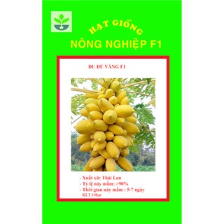 Gói 5 hạt giống đu đủ da vàng