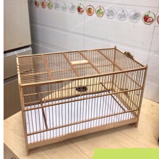 Khung lồng tập lực nan trúc 50*25*30 nan mau 1,1cm phụ kiện lồng chim Minibica LC97