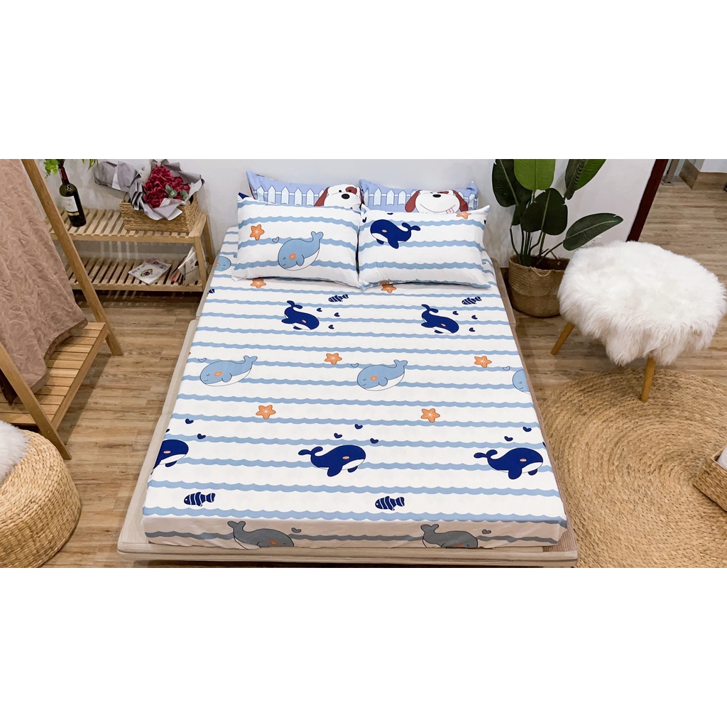 Bộ ga gối cotton poly mẫu cá heo Emmibedding Store