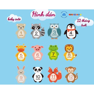 Decal Tháng tuổi [12 hình - 12 tháng tuổi]