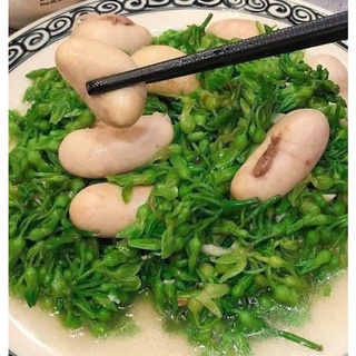 Kê gà 500gr