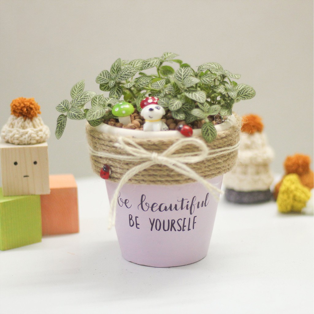 Chậu đất nung trắng nâu trồng cây 7-9-11cm có vẽ hình theo yêu cầu