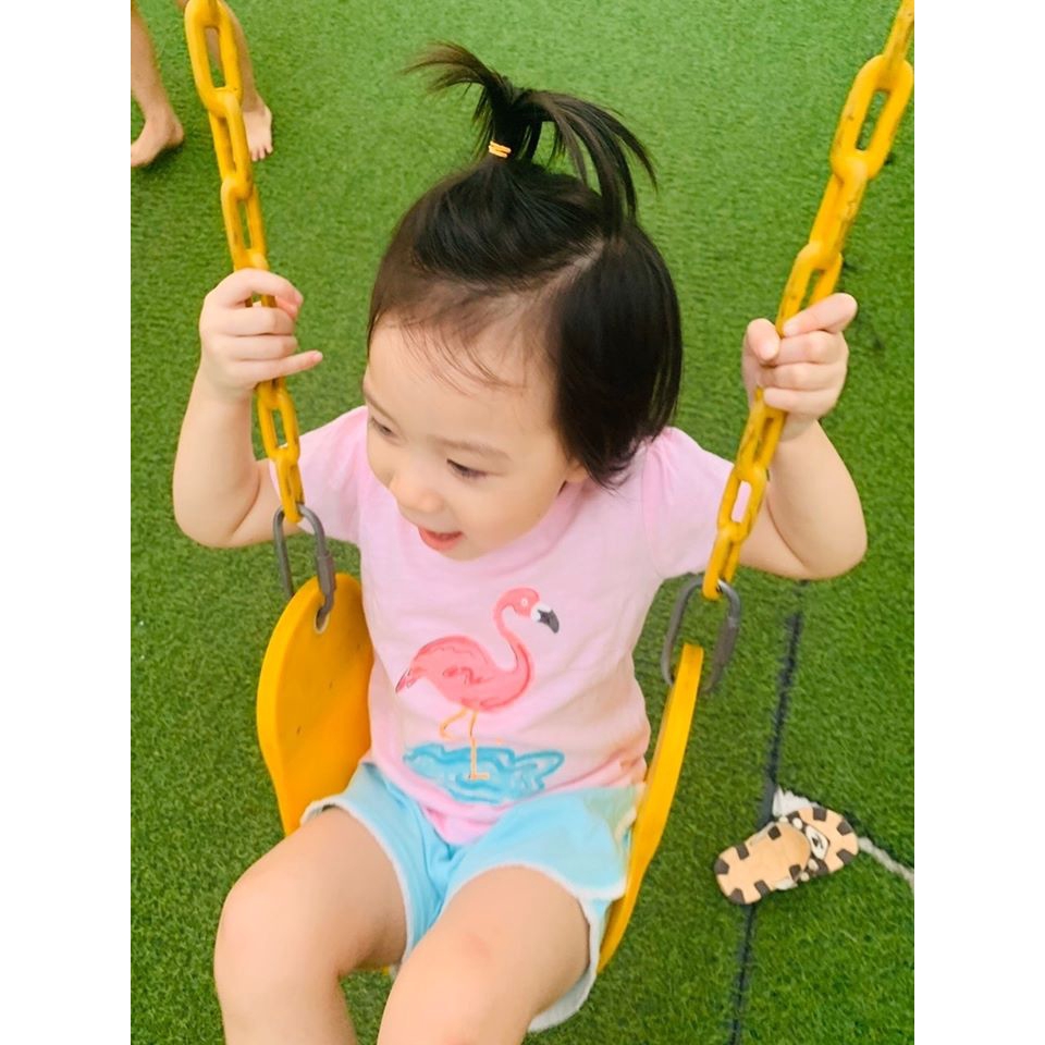 Set bộ Hồng Hạc