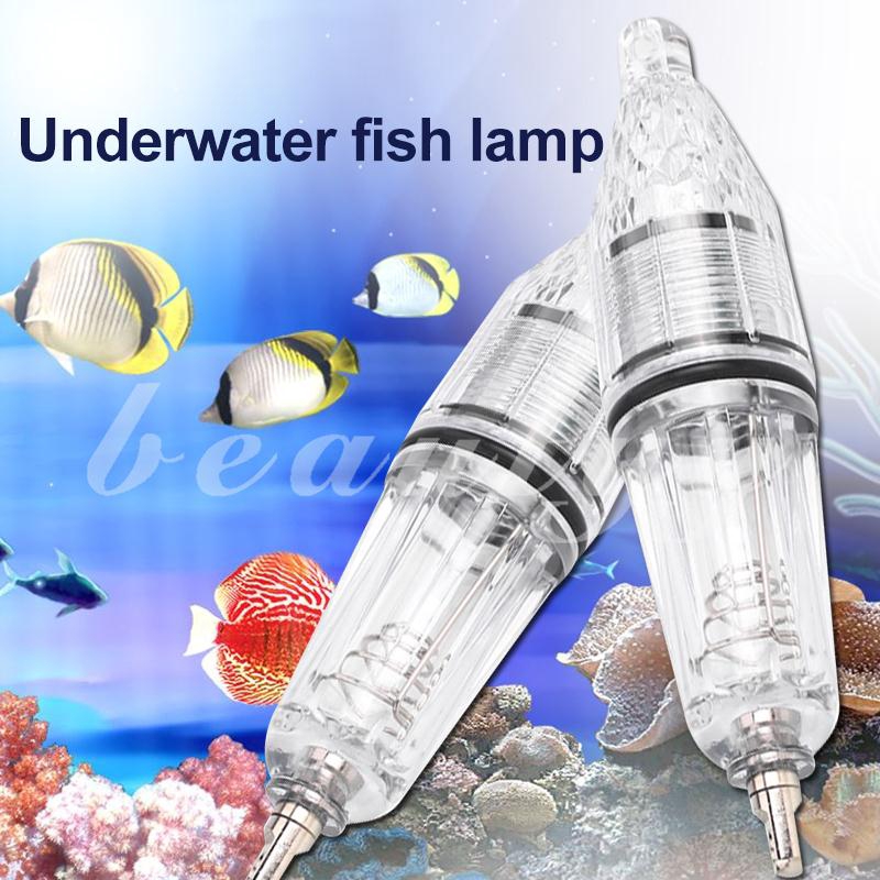 Đèn LED thu hút cá