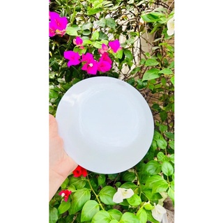 Set 5 đĩa sứ trắng cao cấp 9in - đường kính 22cm