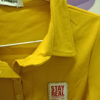 Áo thun thái body cổ bẻ