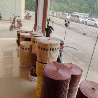 Chiếu trúc cắt