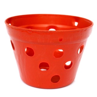 Chậu nhựa giả đất nung trồng hoa lan, cây cảnh phi 15-17-20-23 cm