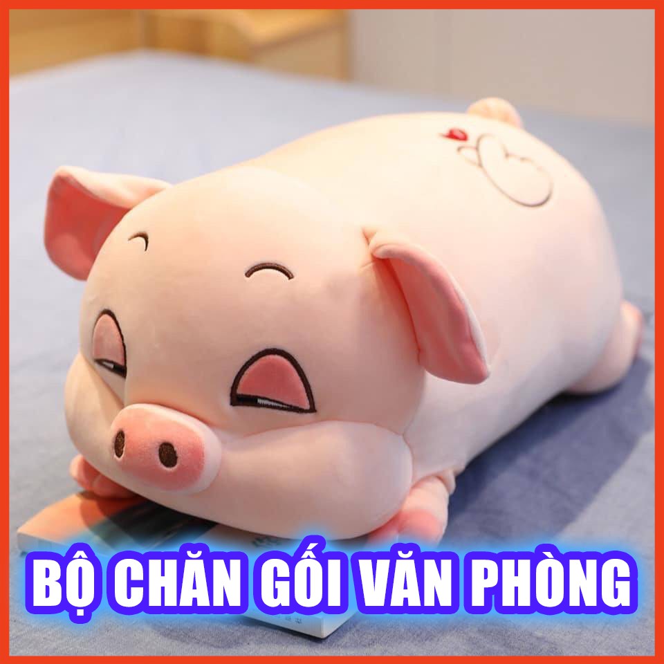 Bộ chăn gối văn phòng hình heo mắt híp