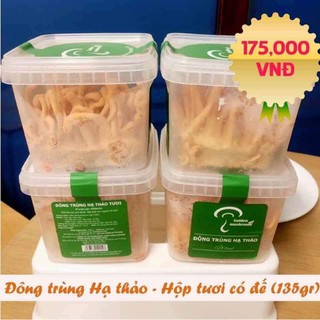 Đông trùng hạ thảo hộp tươi - Hạn sử dụng 2 tháng