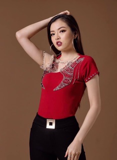 Áo thiết kế cao cấp