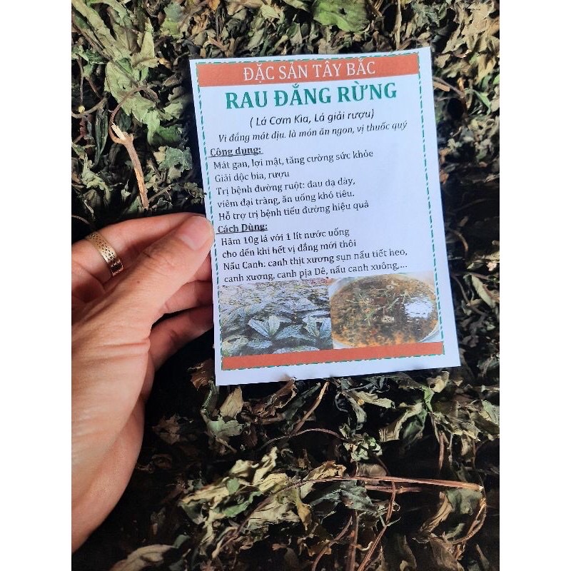 Lá đắng (lá cơm kìa rừng Tây Bắc )