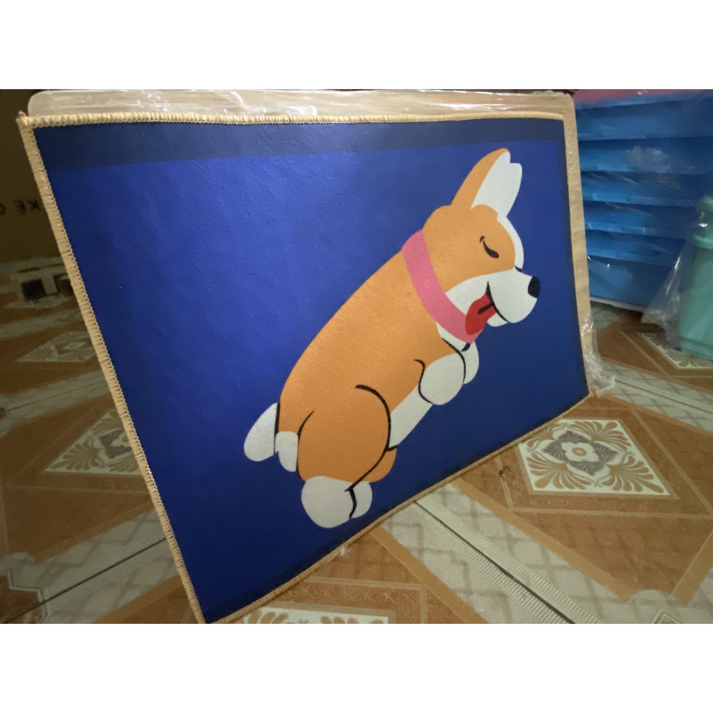 THẢM LAU CHÂN 3D CHỐNG TRƠN TRƯỢT 40x60CM